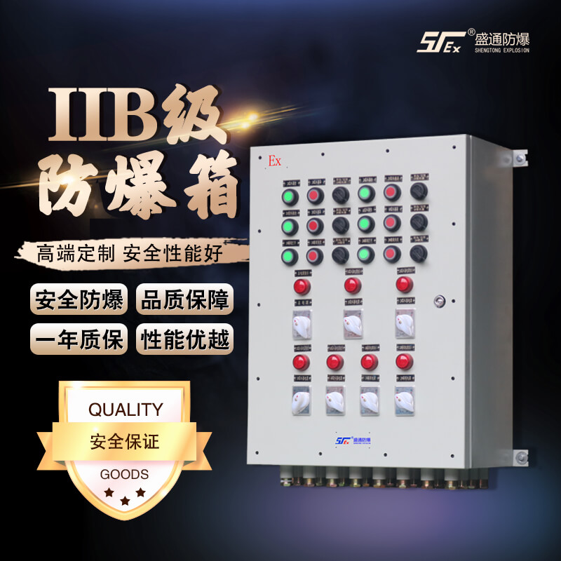 非標(biāo)定制的防爆箱體 非標(biāo)定制的防爆箱體