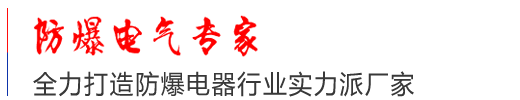 防爆電氣專家
